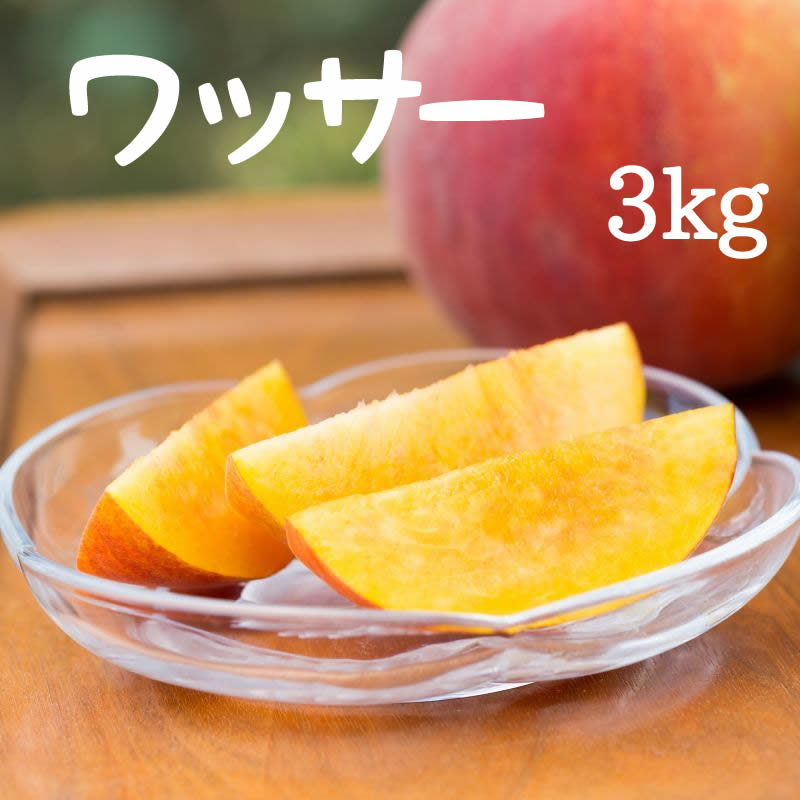ワッサー 黄桃 3kg 信州くだもの村富永農園 ワッサー 黄桃 3kg 信州くだもの村富永農園